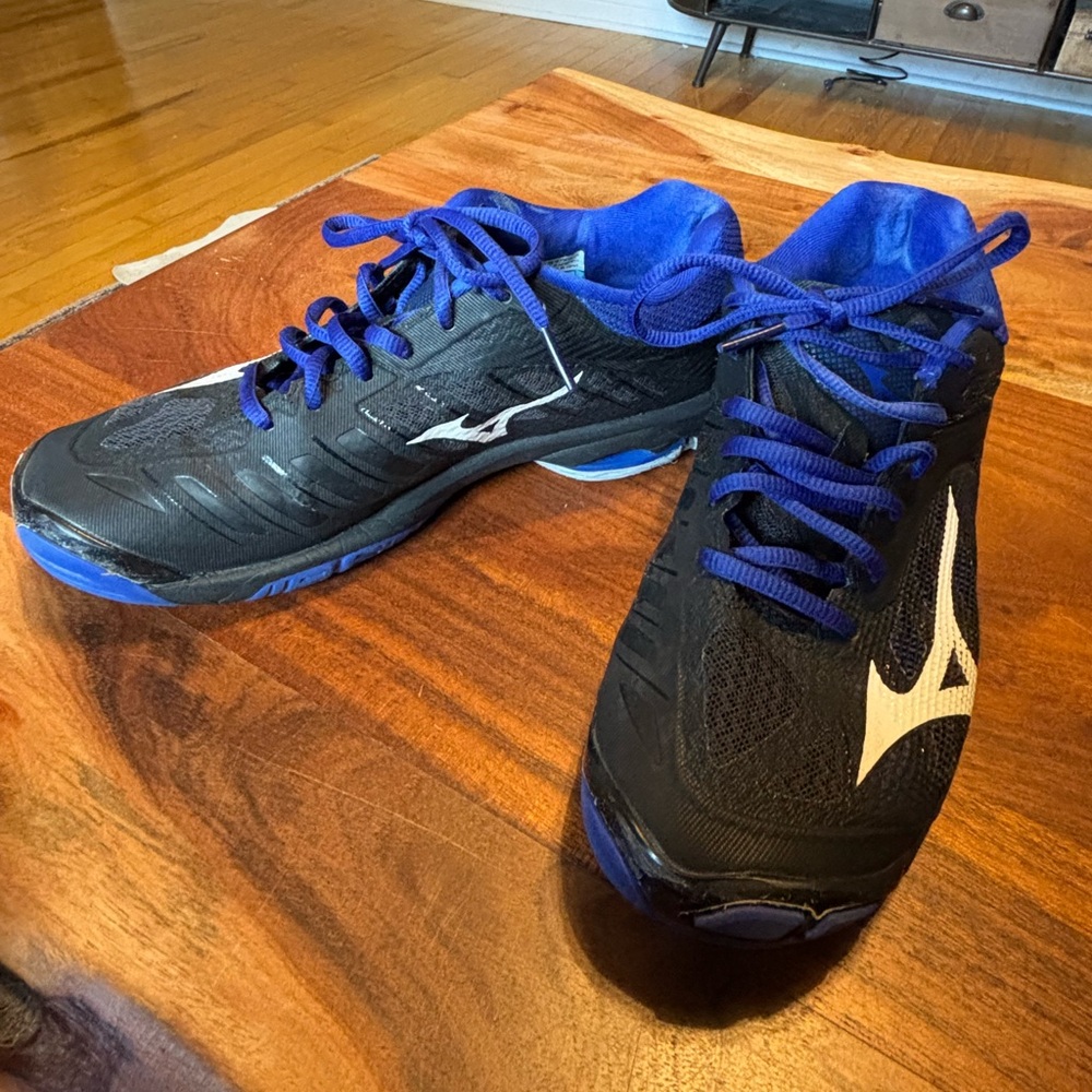 Mizuno Wave Lighting Z4 Womens Volleyball Shoes
Size 8.5